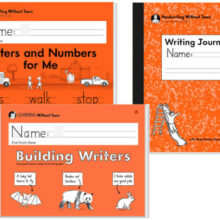 Handwriting Without Tears Workbooks