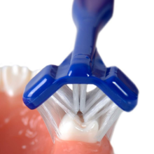 Teeth Brushing and Oral Hygiene