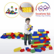 Jumbo Building Blocks Set
