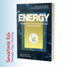 Energy: The Framework, Tools, Strategies & Logic to Support Regulation
